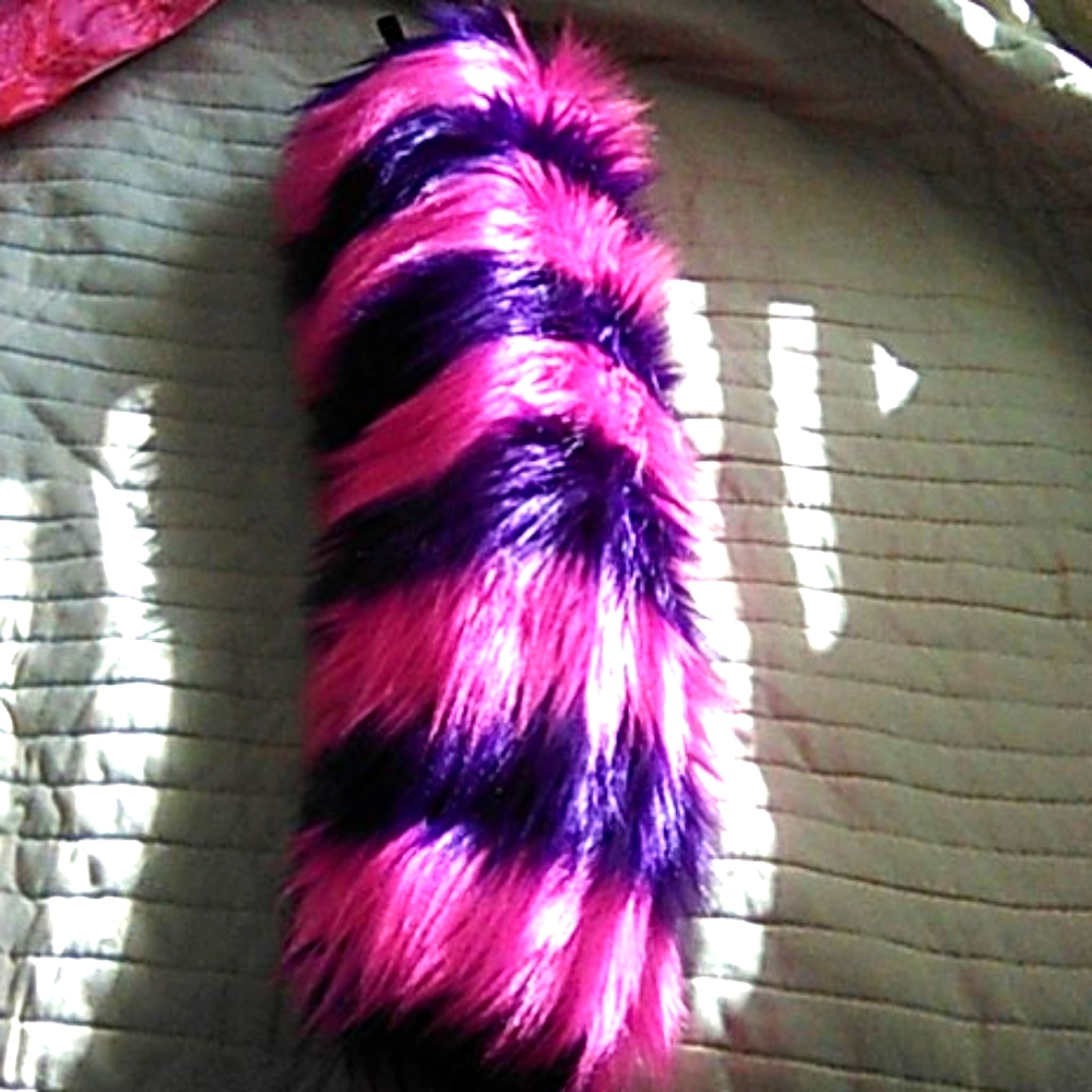 Cheshire Cat Tail